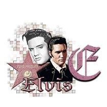 elvis-5454954966-5.jpg