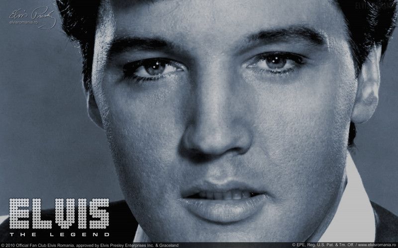 elvis-549.jpg