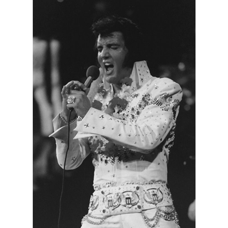 elvis-558.jpg