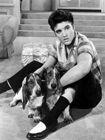 elvis-585.jpg