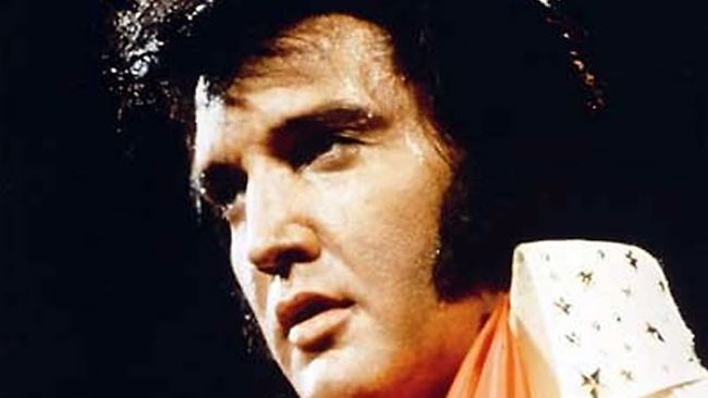 elvis-81.jpg