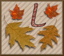 feuille-87878787-12.jpg