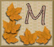 feuille-87878787-13.jpg
