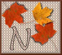 feuille-87878787-14.jpg