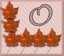 feuille-87878787-15.jpg