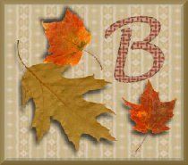 feuille-87878787-2.jpg