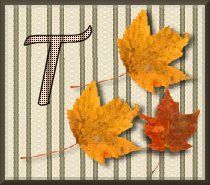 feuille-87878787-20.jpg