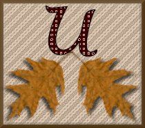 feuille-87878787-21.jpg