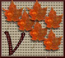 feuille-87878787-22.jpg