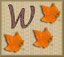feuille-87878787-23.jpg