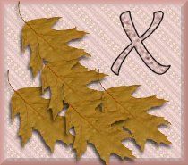 feuille-87878787-24.jpg