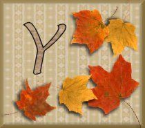 feuille-87878787-25.jpg