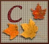 feuille-87878787-3.jpg