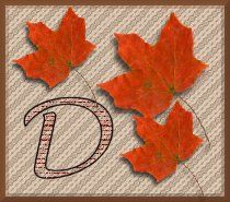 feuille-87878787-4.jpg