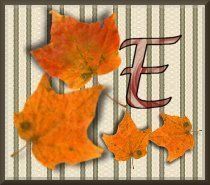 feuille-87878787-5.jpg