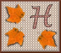feuille-87878787-8.jpg