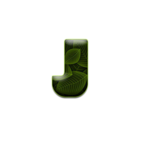 feuille-9898988998-10.png