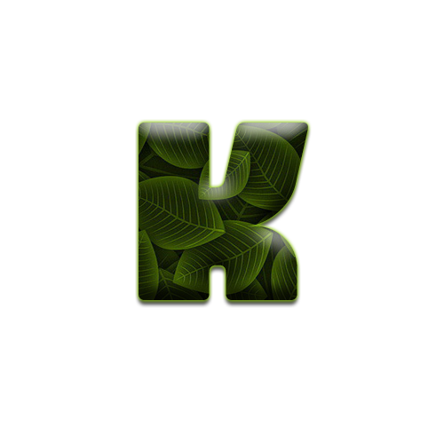 feuille-9898988998-11.png
