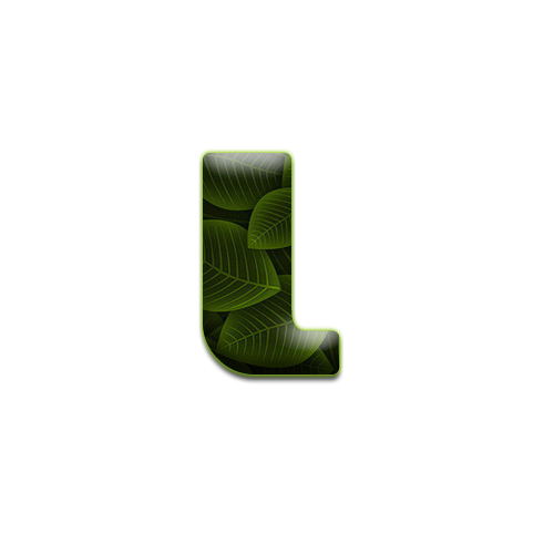 feuille-9898988998-12.png