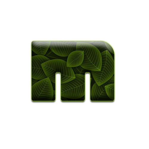 feuille-9898988998-13.png