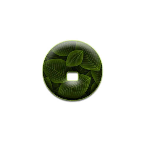 feuille-9898988998-15.png