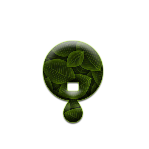 feuille-9898988998-17.png
