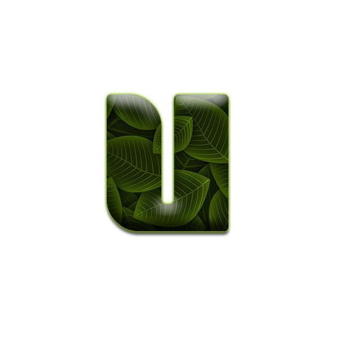 feuille-9898988998-21.png