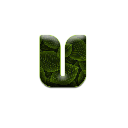 feuille-9898988998-22.png
