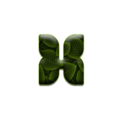 feuille-9898988998-24.png