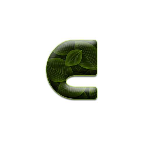 feuille-9898988998-3.png