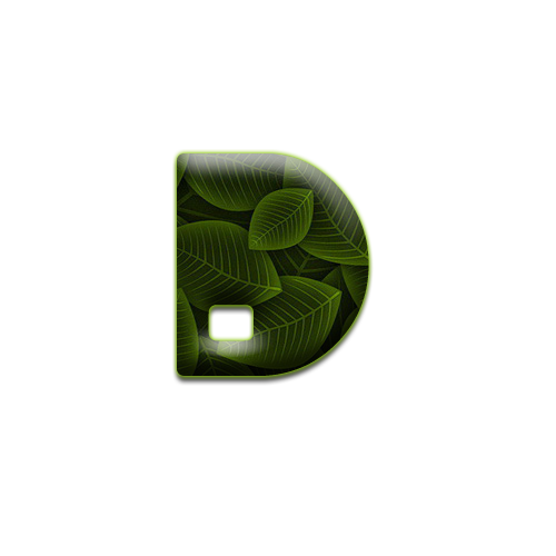 feuille-9898988998-4.png