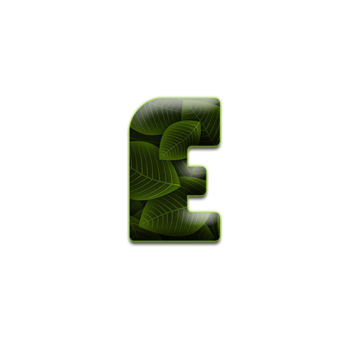 feuille-9898988998-5.png