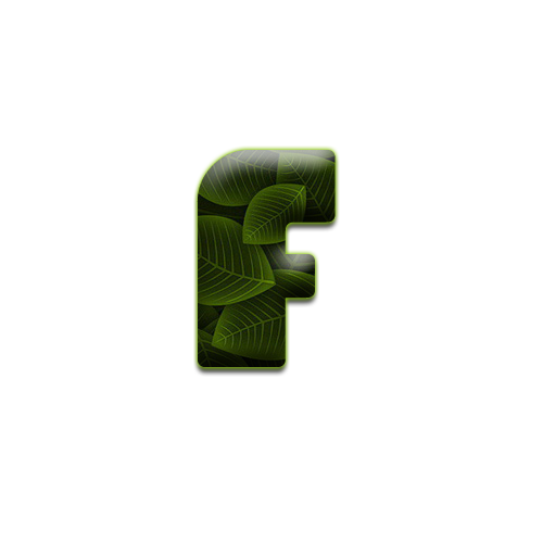 feuille-9898988998-6.png