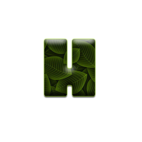 feuille-9898988998-8.png