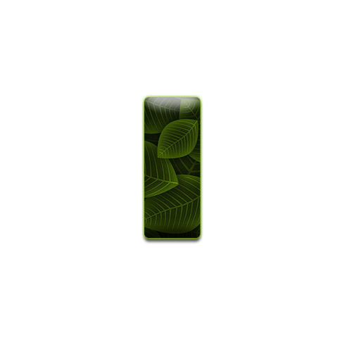 feuille-9898988998-9.png