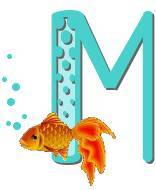 fish_M.jpg