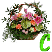 fleu-87788888-3.gif