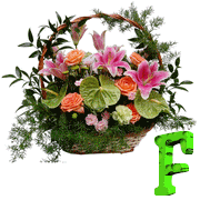 fleu-87788888-6.gif