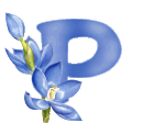 fleur-00095485985949-16.gif