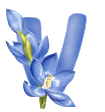 fleur-00095485985949-22.gif