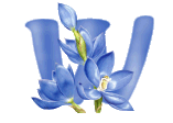 fleur-00095485985949-23.gif