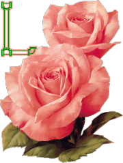 fleur-33223320404040-12.gif