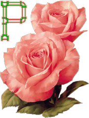 fleur-33223320404040-16.gif