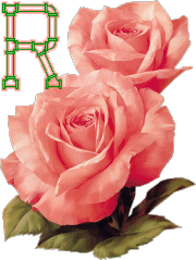 fleur-33223320404040-18.gif