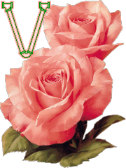 fleur-33223320404040-22.gif