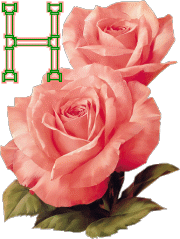 fleur-33223320404040-7.gif