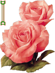 fleur-33223320404040-8.gif