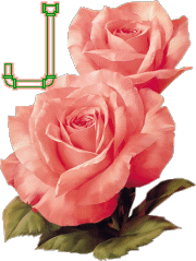 fleur-33223320404040-9.gif