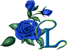 fleur-3434000005-12.gif