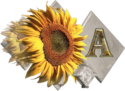 fleur-43459545400000-1.jpg